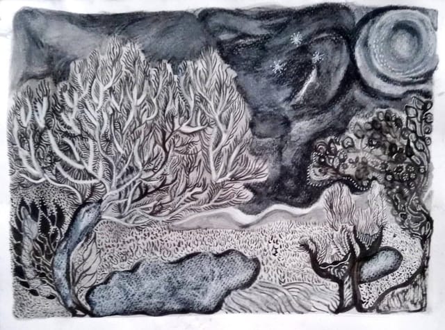 el jardín salvaje  — portada