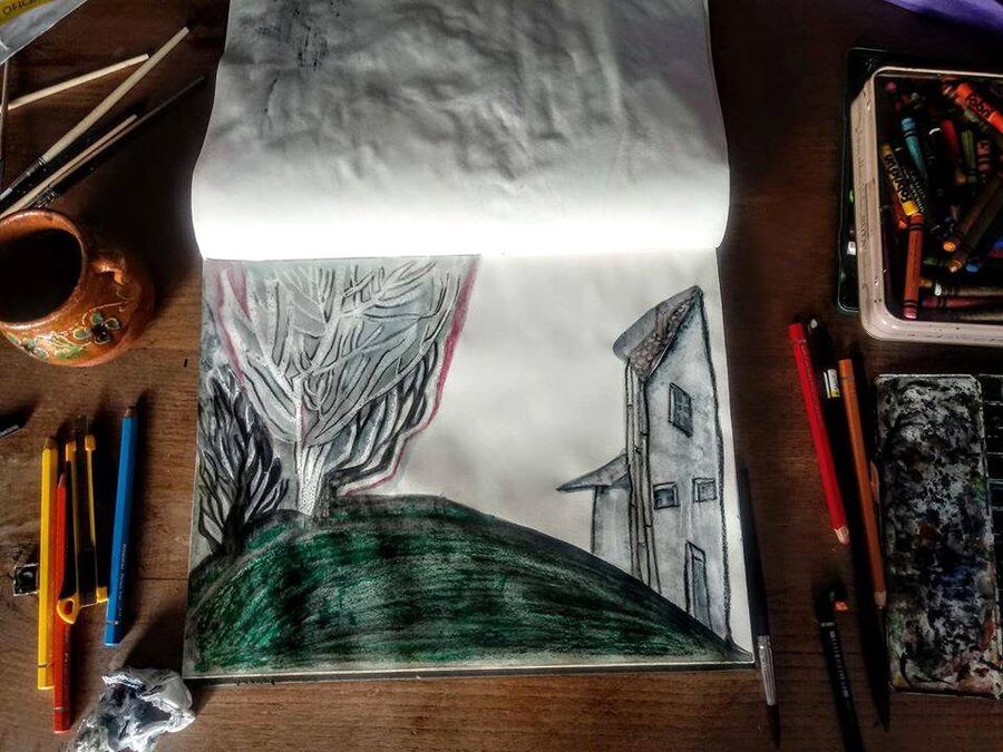 cuaderno negro de alucinaciones — obra 36