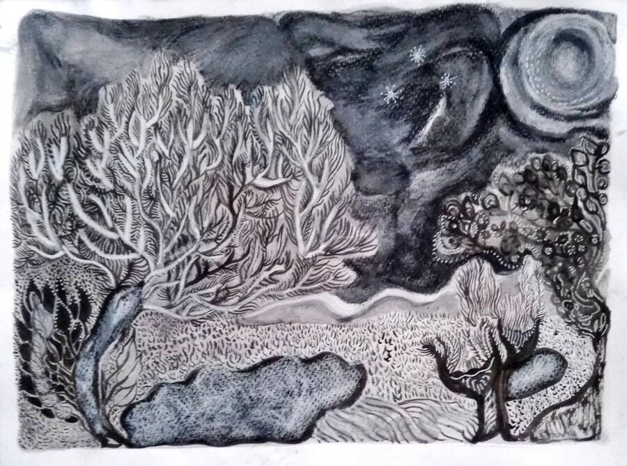 el jardín salvaje — la puerta del jardín salvaje