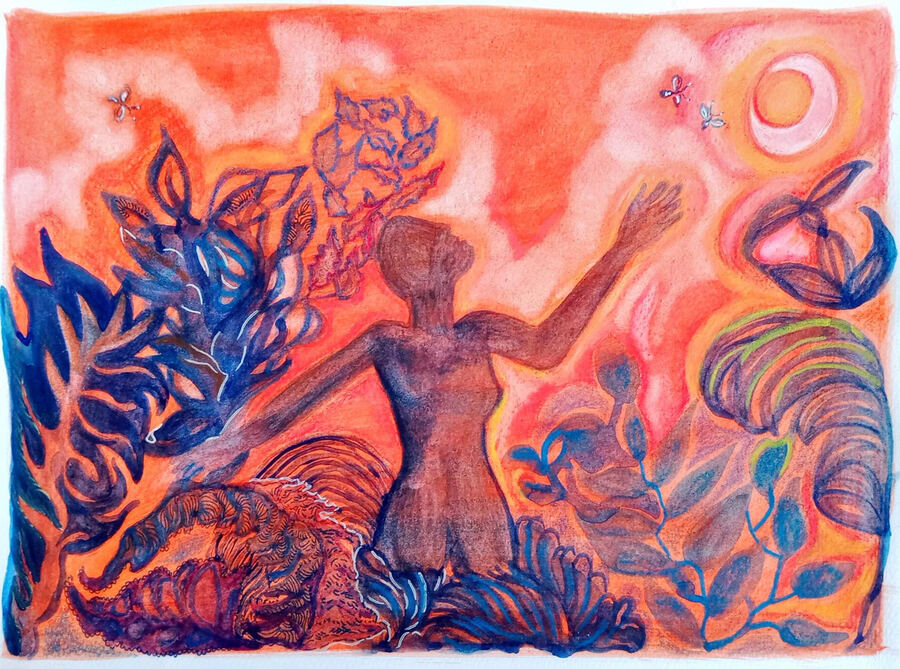 el jardín salvaje — atardecer
