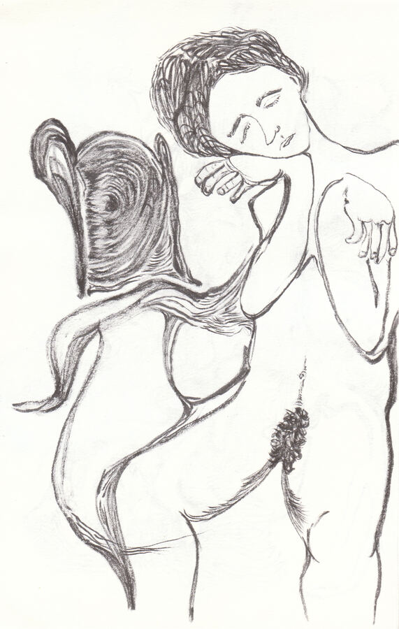 imaginar y ver — obra 24