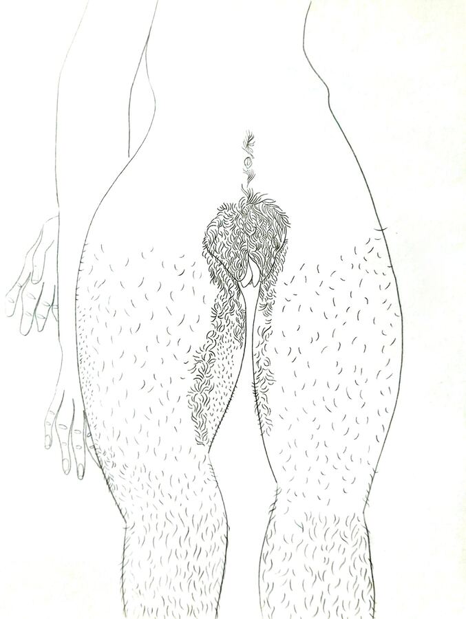 líneas sinuosas — obra 13